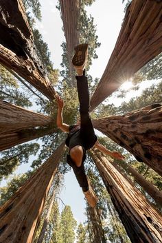 a man standing in the middle of a forest looking up into the sky with his arms outstretched