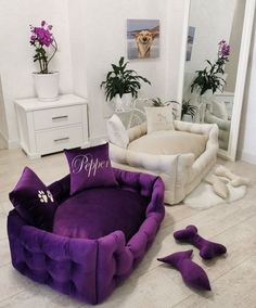 a purple dog bed sitting on top of a wooden floor next to two white couches