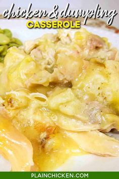 chicken and dumpling casserole on a white plate