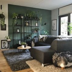 MUUEGM Futon Sofa Bed Modern Futon Couch Convertible Loveseat Sleeper Daybed Green Walls Living Room, Dark Green Living Room, Green Living Room Decor, Green Living Room, Green Accent Walls, Living Room Scandinavian, Living Room Green, Living Room Decor Apartment, Living Room Inspo