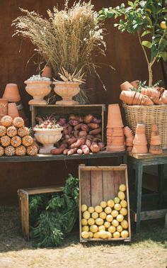 an assortment of fruits and vegetables on display