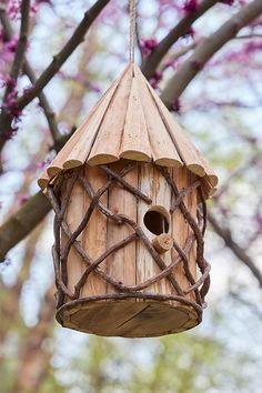 a birdhouse hanging from a tree branch with purple flowers in the background and branches around it