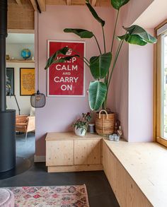 a living room with pink walls and large plants in the corner, along with an area rug on the floor