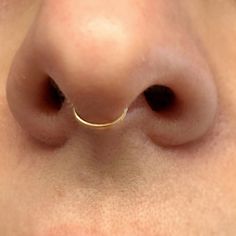 a nose with a gold nose ring attached to it's side, showing the end of its nose