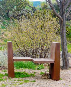 a wooden bench sitting in the middle of a field next to a tree and bushes