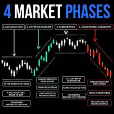 the 4 market phases in forex