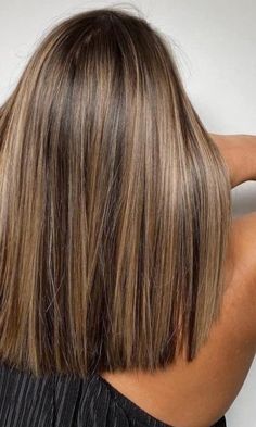 Brown Hair With Blonde Highlights, Brown Hair Balayage, Brown Blonde Hair, Hair Color Balayage, Hair Inspiration Color, Hair Inspo Color, Light Hair, Brown Hair Colors