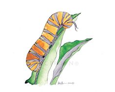 a drawing of a caterpillar sitting on top of a green plant with leaves