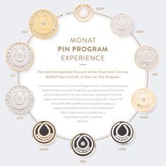 a circular frame with gold, silver and black rings on it that says monat pin program experience