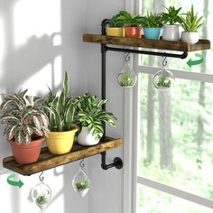 some plants are sitting on shelves in the room