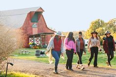 several women walking down a dirt road with their dogs