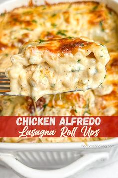 chicken alfredo lasagna roll ups on a fork in a casserole dish