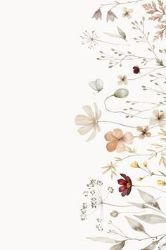 an image of flowers and leaves on a white background