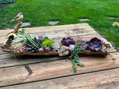 an arrangement of succulents and plants on a piece of driftwood with a bird perched on top