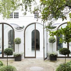 an entrance to a white building with potted trees in the front and on the side