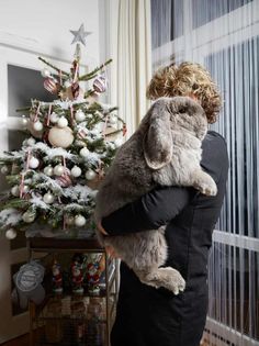 a woman holding a large gray rabbit in front of a christmas tree