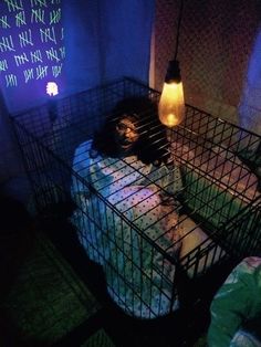 a cage that has a cat in it and some lights on the wall behind it