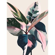 Pink Ficus Poster by Urban Road-VARPDXURP726 Image 1 Pink Ficus, Leaf Mural, Mural Inspiration, Digital Art Software, Plant Art Print, Studio Office, Urban Road, Mural Ideas, Art Album