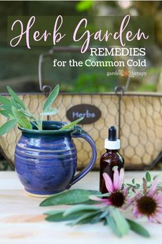 I’m always impressed by how effective natural, plant-based remedies can be in combating sickness and want to share my favorite home remedies in hopes that they will make cold season a little easier for you this year. These tried-and-true cold remedies really work for me and I hope they do for you as well. #ediblegarden #growyourown #gardening #garden #gardenideas #gardenprojects #gardentherapy #sick #wellness #healing #natural #allnatural #plants #nature Homemade Apothecary, Herbal Cold Remedies, Common Cold Remedies, Home Remedies For Spiders, Ancient Remedies, Pineapple Benefits, Healing Salve, Medicinal Garden