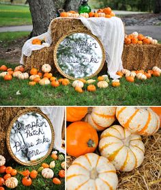 pumpkins and gourds are arranged around a hay bale with the words pumpkin patch please to be written on it