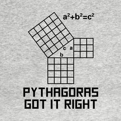 a t - shirt that says,'pythogans got it right '