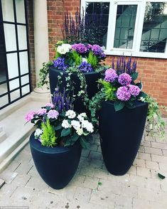 three large black planters with purple and white flowers in front of a brick building