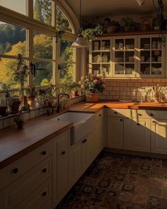 a kitchen filled with lots of windows next to a sink and counter top covered in potted plants