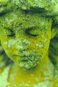 an image of a green statue with moss growing on it's face and the caption that reads, i love outdoor spaces filled with oxygen