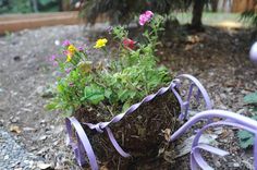 a potted plant with purple ribbon tied around it and some flowers in the background