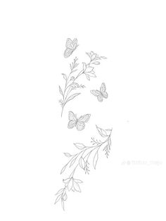 a drawing of some flowers and butterflies on a white background