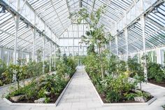 the inside of a large greenhouse with lots of plants