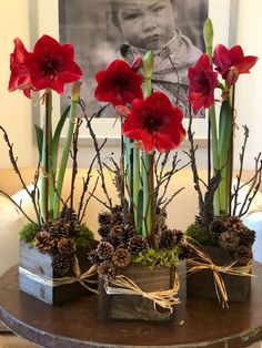 some red flowers and pine cones are on a table in front of a framed photo