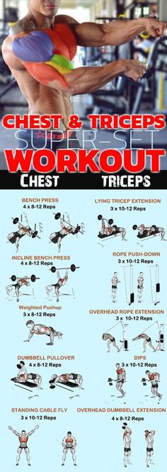 the chest and triceps workout poster