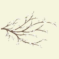 a branch with white flowers on it against a beige background in the shape of a twig