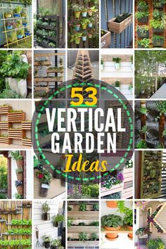 several different types of vertical garden ideas with the text overlay that reads, 53 vertical garden ideas