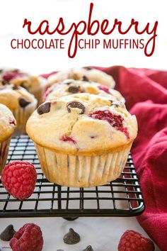 raspberry chocolate chip muffins on a cooling rack with raspberries