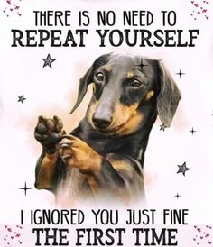 there is no need to repeat yourself i ignored you just fine the first time dachshund