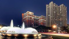 an illuminated fountain in the middle of a park with tall buildings behind it at night