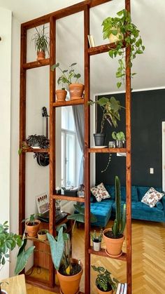 a living room filled with lots of potted plants next to a blue couch and window