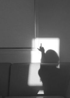 a black and white photo of a cat sitting on a couch with the light shining through it