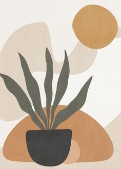 a potted plant sitting on top of a table next to a white and brown wall