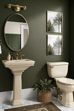 a white toilet sitting next to a sink in a bathroom under a mirror and a rug