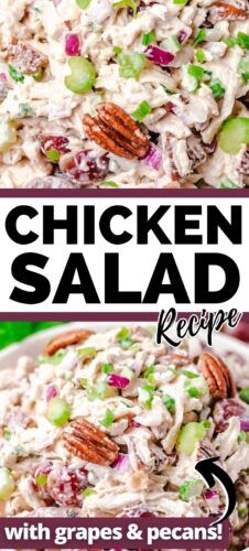 chicken salad recipe with grapes and pecans