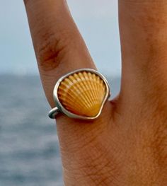 Seashell ring with a shell picked at Barcelona beach. Made by hand in silver 925. The inner diameter of the ring is 15.53mm. Seashell Ring, Barcelona Beach, Multi Stone Ring, Multi Stone, Stone Rings, Silver 925, Sea Shells, Silver Ring, Barcelona