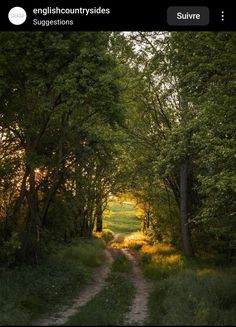 a dirt road surrounded by trees with sunlight coming through the trees on either side and in the middle