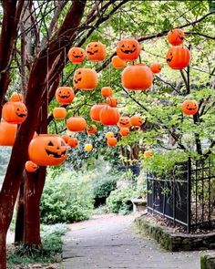 many pumpkins hanging from the branches of trees