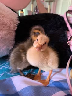 a baby duck standing on top of a bed next to a teddy bear and stuffed animal