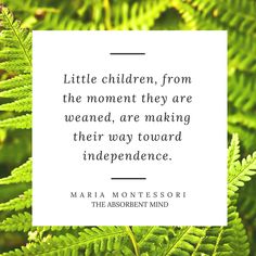 a quote from maria montesso on the theme of children, from the moment they are