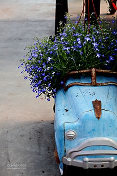 an old blue car with flowers growing out of it