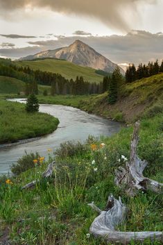 a river running through a lush green hillside